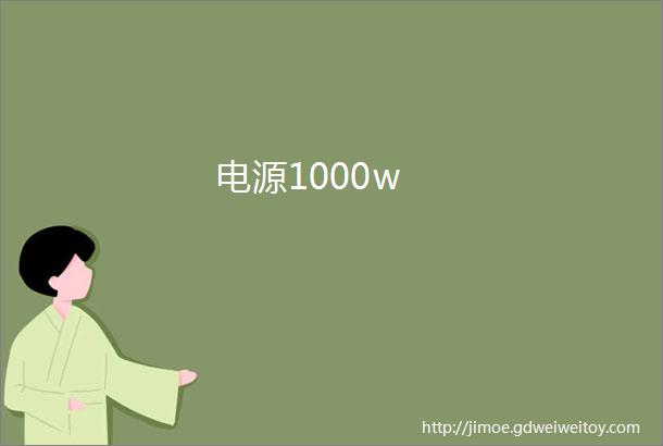 电源1000w