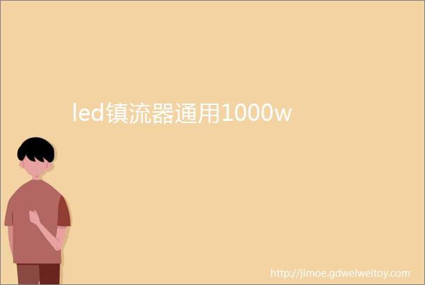 led镇流器通用1000w